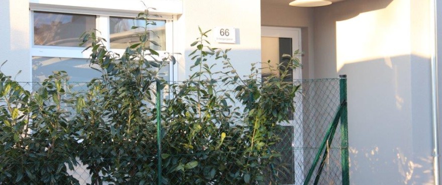 S66
